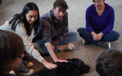 Upper School Club Brings Therapy Dogs to D-EStress
