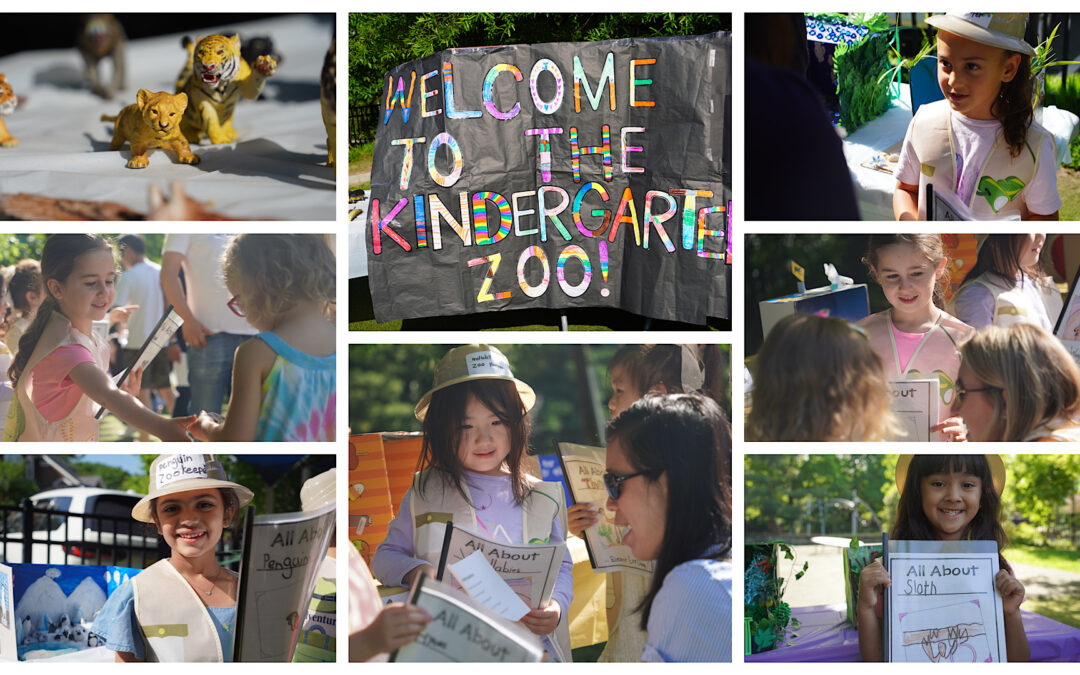 Lower School Kindergarten Zoo 