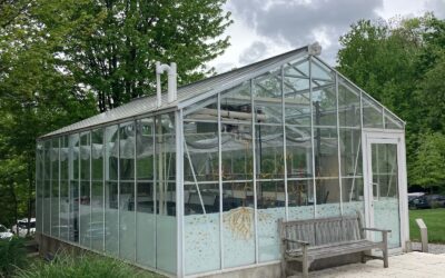 The Greenhouse