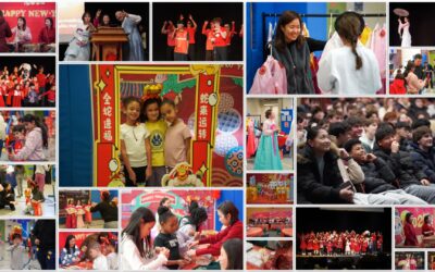 Celebrating Lunar New Year 2025 at D-E