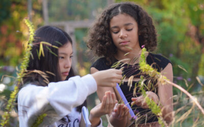 MS Students ‘Learn By Doing’ in DIG 