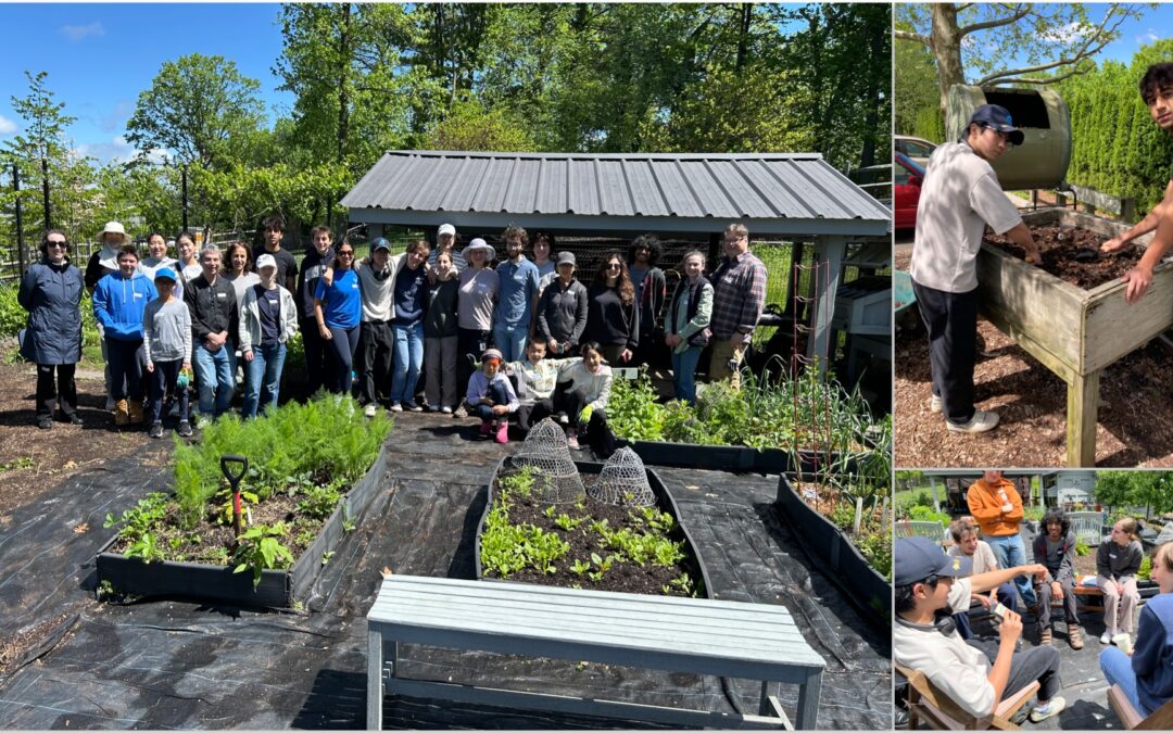 End-of-Year Garden Work Party Highlights