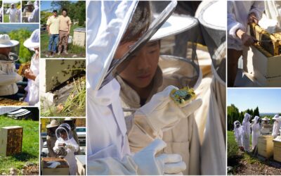 The Latest Buzz: MS Hosts Beekeepers Visit
