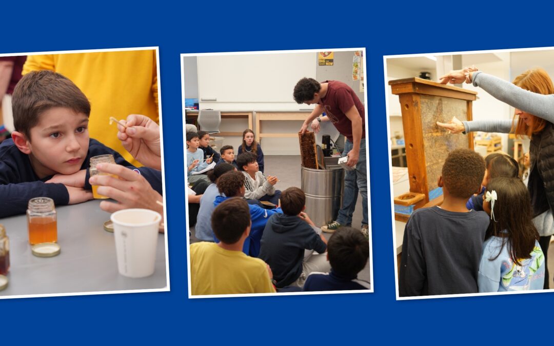 Sweet! Honey Harvest 2025 Highlights