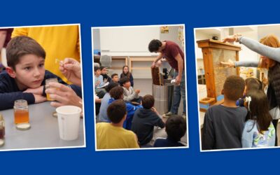 Sweet! Honey Harvest 2025 Highlights