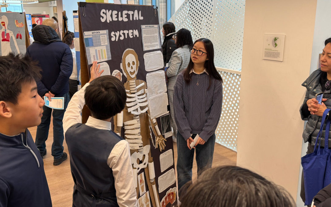 7th Graders Make a Lasting Impression With the ‘Anatomy of a Human Exhibit’