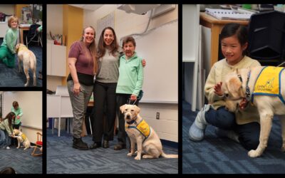 Second Graders Learn About Canine Companions Service Dogs