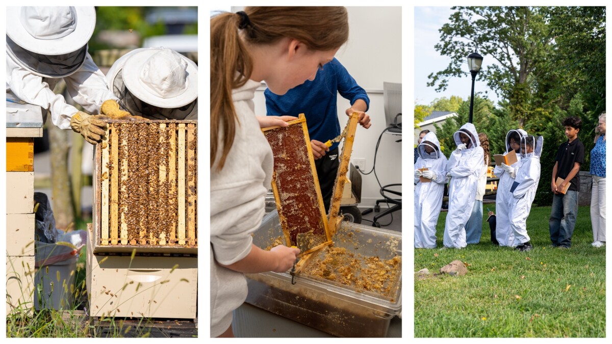 A Sweet D-E Tradition: Honey Harvest 2026