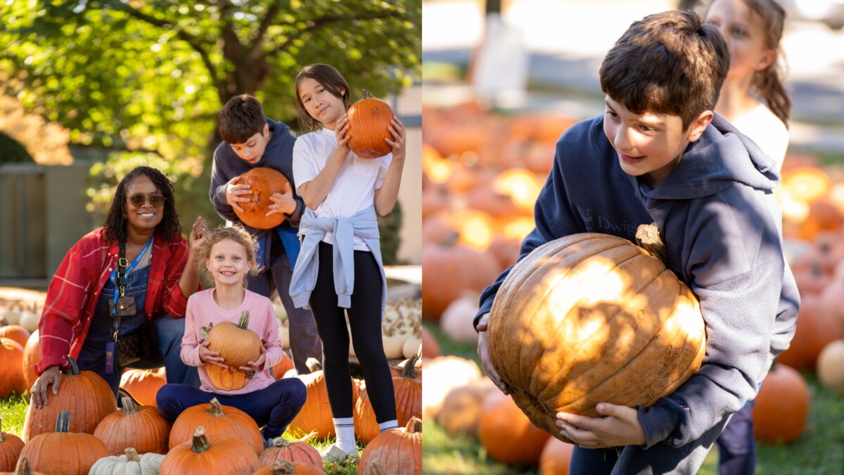 Harvest Discovery Day Highlights
